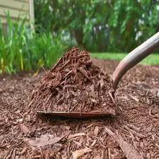 Mulch